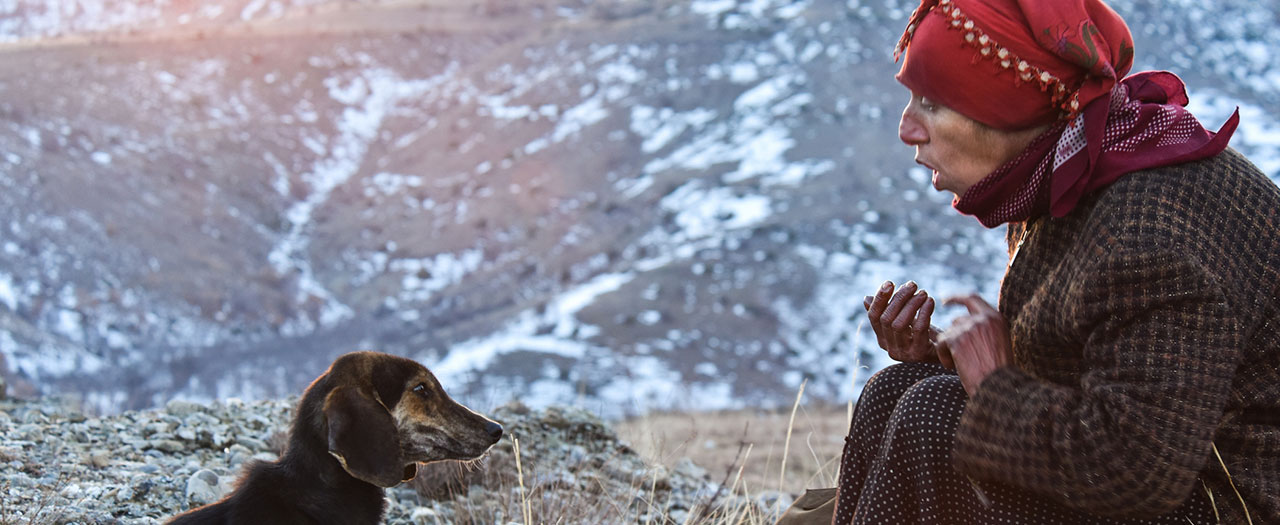 honeyland-000665_445